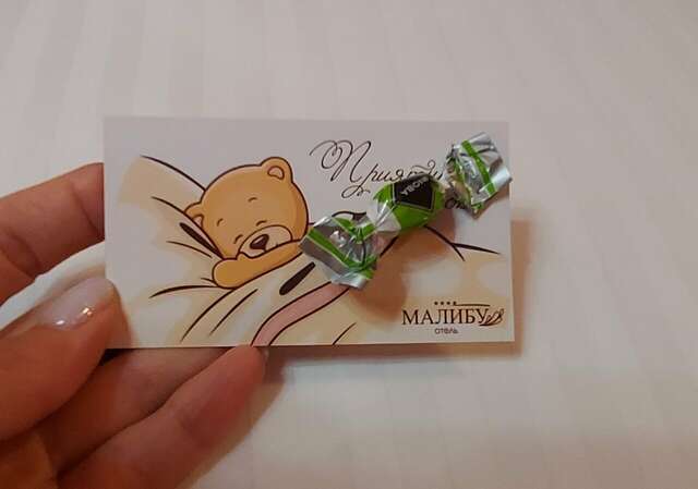 Гостиница Малибу Омск-39